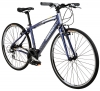 Diamondback Insight Flat Bar Bike
